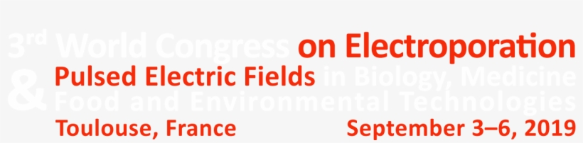 Search Website - Circle, transparent png download