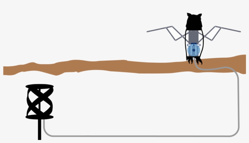 Conclusion - Illustration, transparent png download