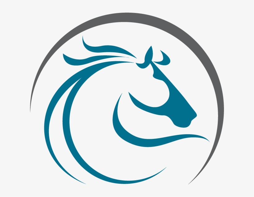 Sorting Through Supplements, transparent png download