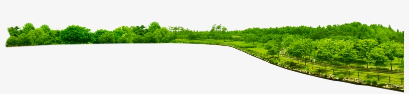 Park Png Transparent Image - رسم غابة بالالوان المائية, transparent png download