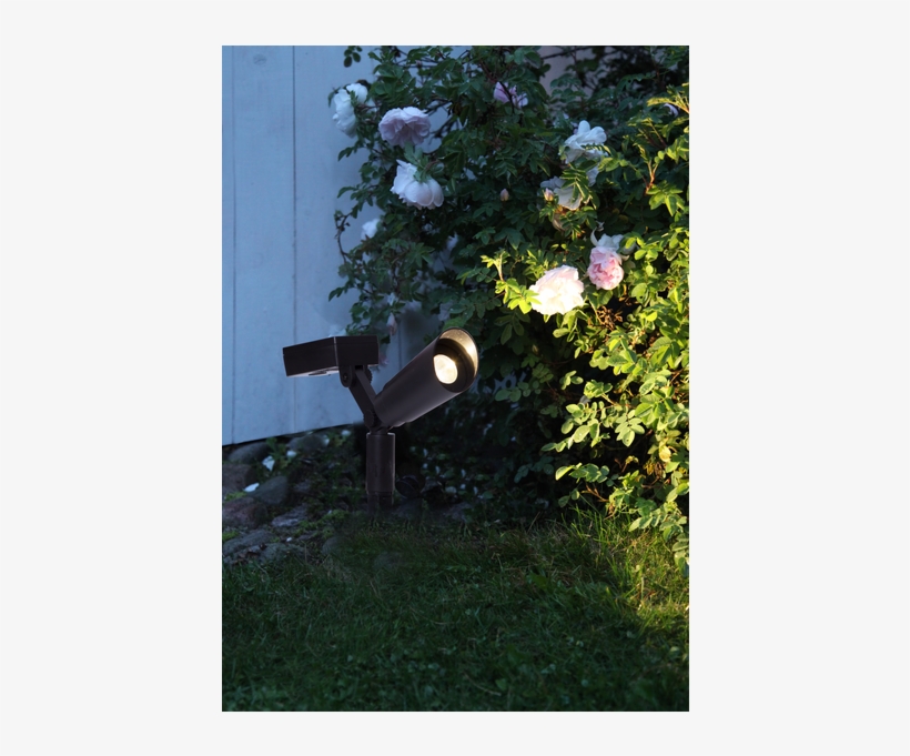 Solar Spotlight 2 P Powerspot - Light-emitting Diode, transparent png download