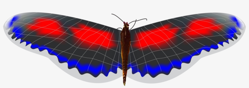 Mariposa 3, transparent png download