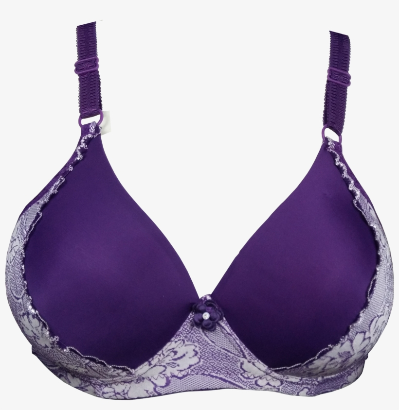 2018 Malaysian Hottest Sale Women Polyester Bra - Brassiere, transparent png download