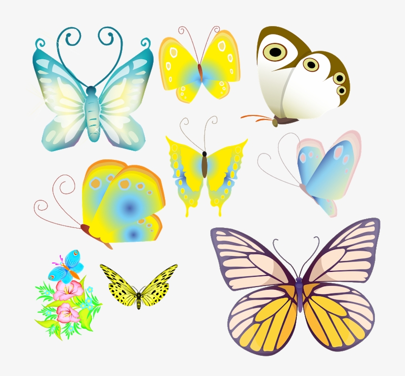 Lepidoptera, transparent png download