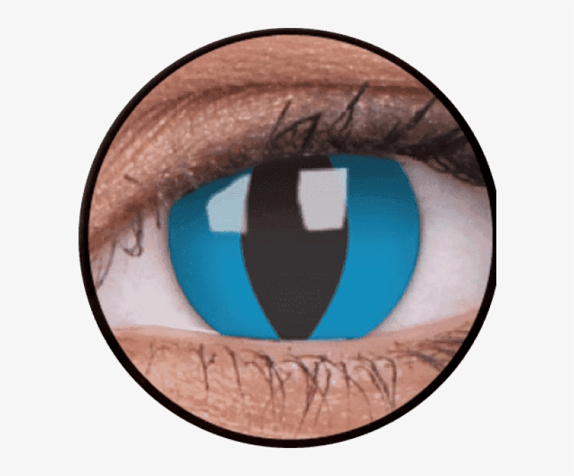 Crazy Lens - Cheshire Cat, transparent png download