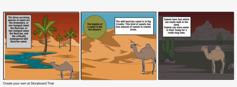Camel - Cartoon, transparent png download