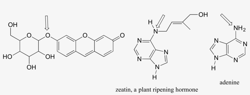 For Each Of The Compounds Below, Several Minor Resonance - Diagram, transparent png download