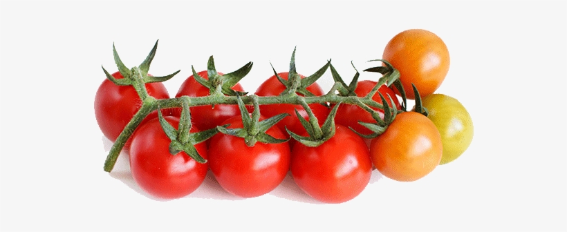 Plum Tomato, transparent png download