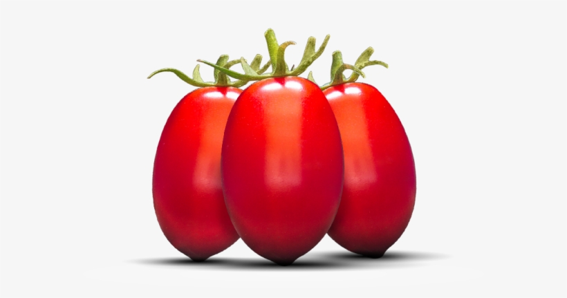 They Leave Me Whole For Those Who Want To Be Chefs - Plum Tomato, transparent png download