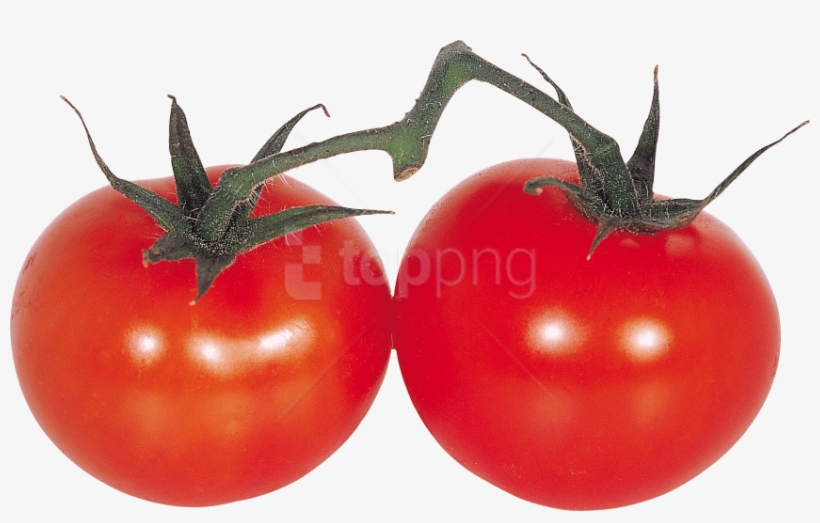 Free Png Download Red Tomatoes Png Images Background - Tomat Cherry Png, transparent png download