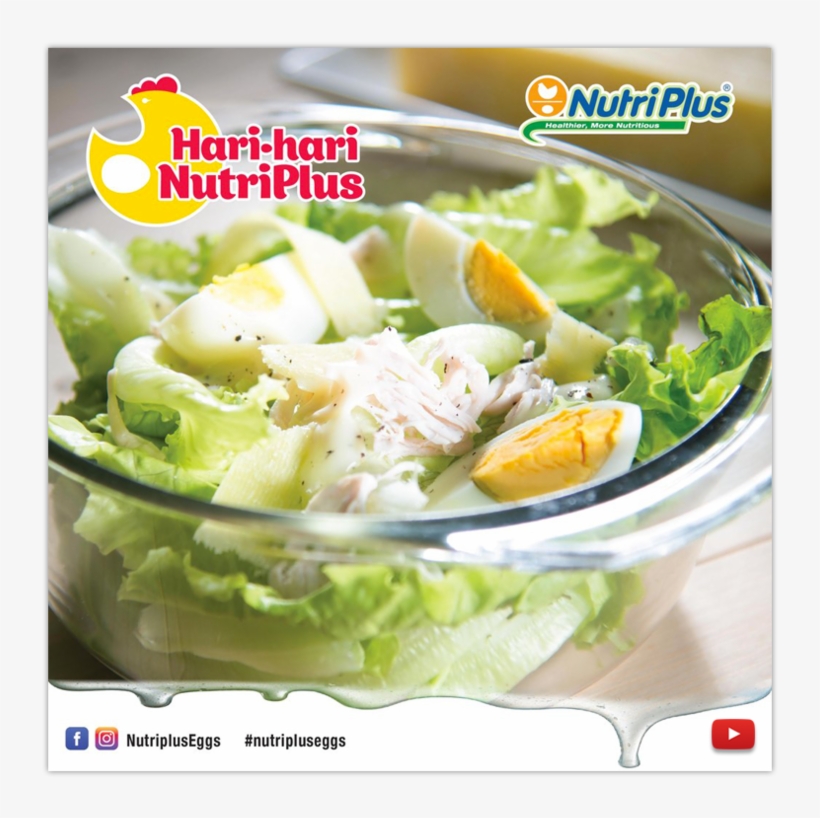 Chicken Salad, transparent png download