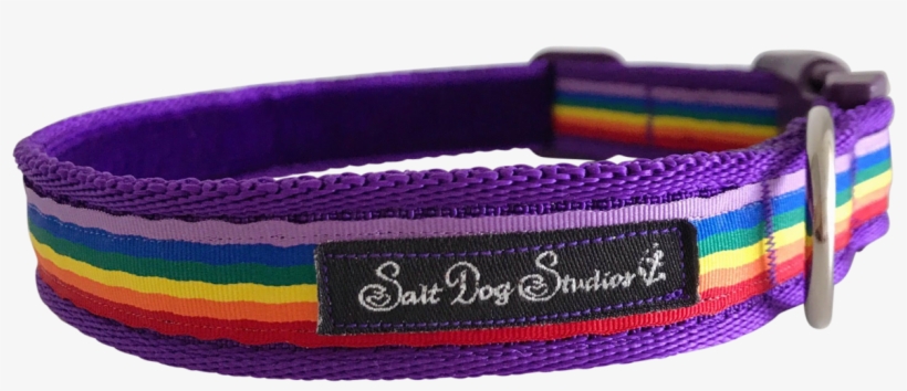 Purple Rainbow Ribbon Dog Collar - Bracelet, transparent png download