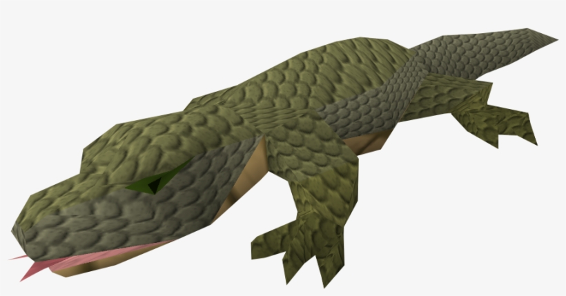Nile Crocodile, transparent png download
