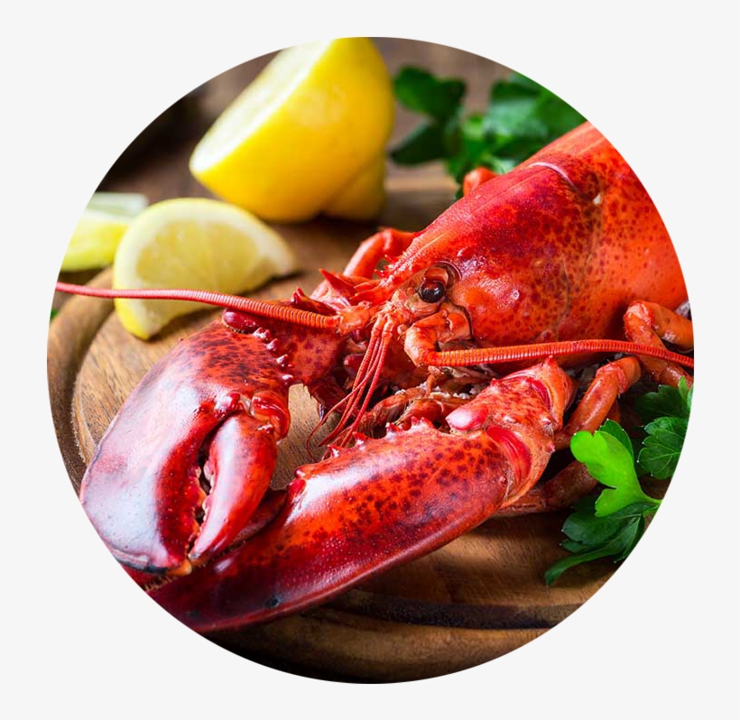 I Dream Of This Restaurant - Lobster Restaurant, transparent png download