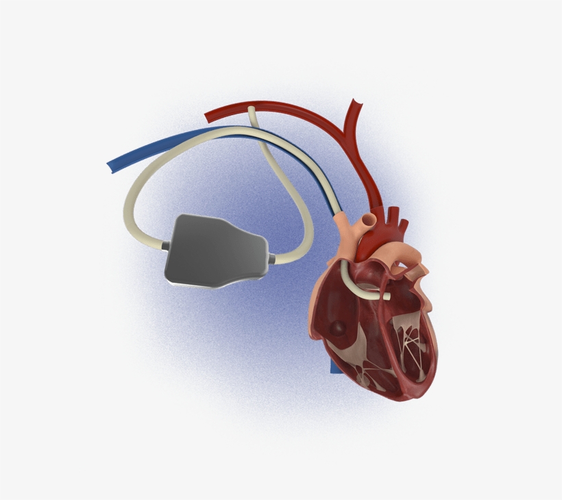 More About The Technology - Cable, transparent png download