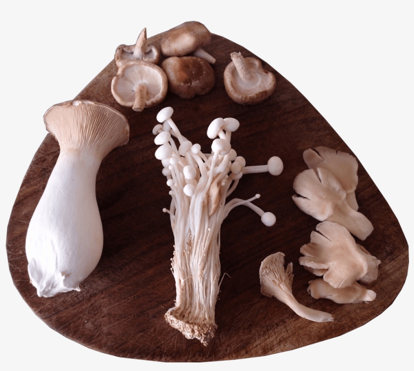 A Selection Of Sainsbury's Exotic Mushrooms Presented - Wood, transparent png download