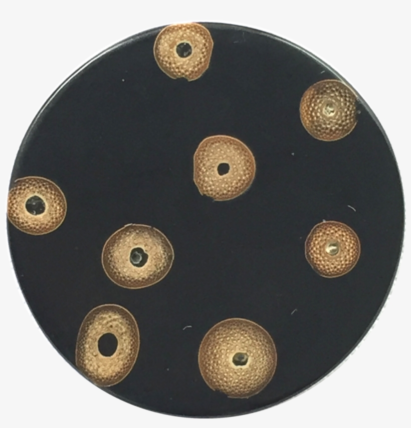 Tan Bamboo Spots On Round Black Button 1-1/8" The Button - Circle, transparent png download