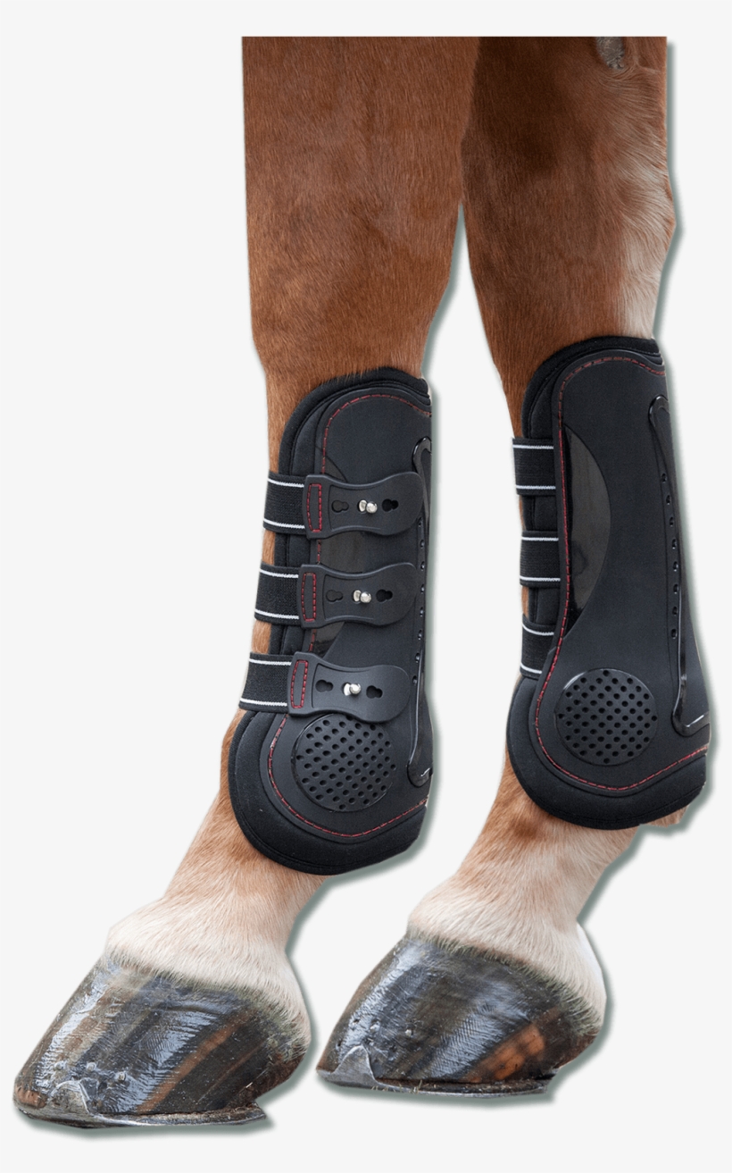 Memory Foam Tendon Boots - מגנים לסוסים, transparent png download