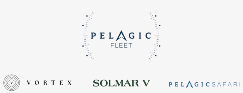 Pelagic Fleet - Parallel, transparent png download