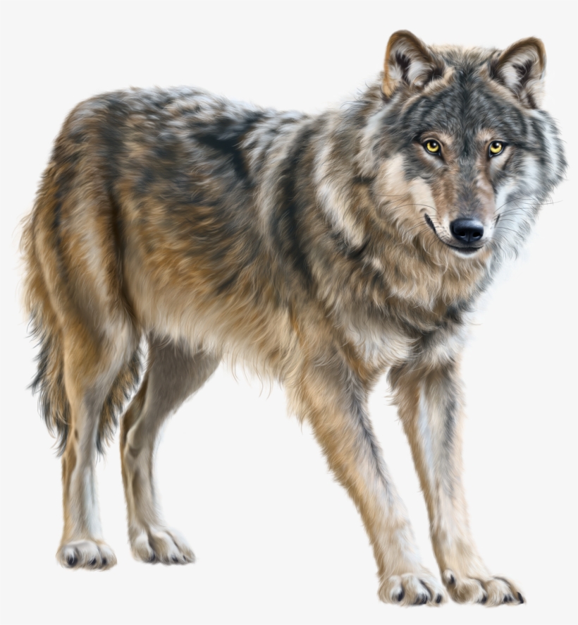 Coyote Clipart Desert Biome - Wolf Clipart, transparent png download