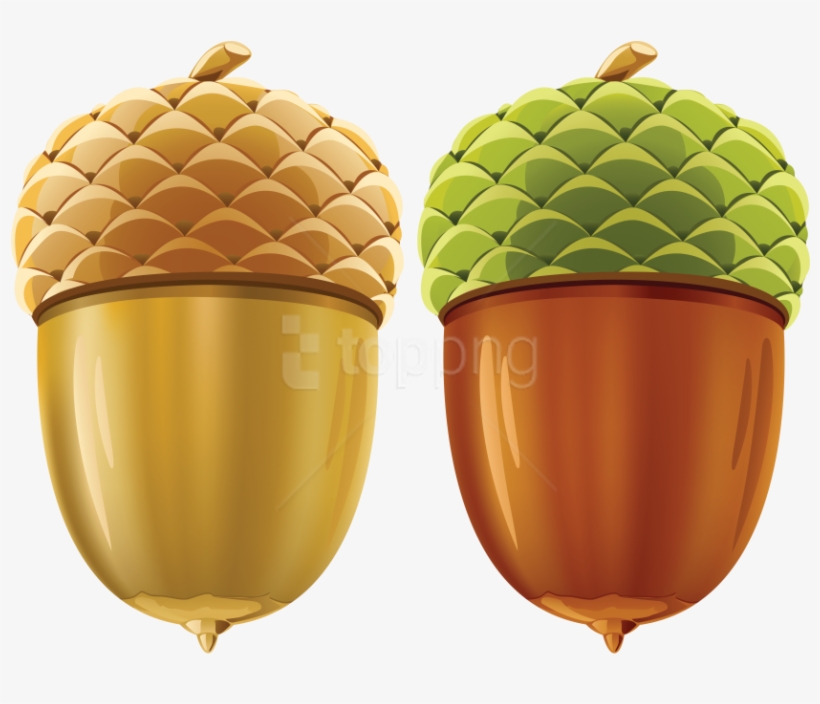 Free Png Acorn Png Images Transparent - Acorn 3d Model Free, transparent png download