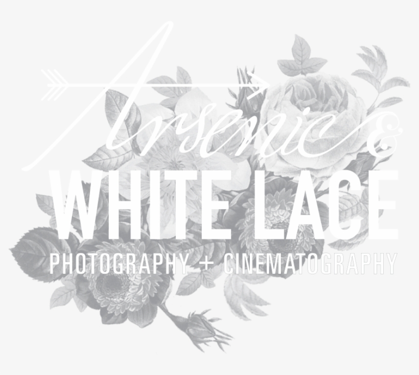 Arsenic And White Lace - Calligraphy, transparent png download