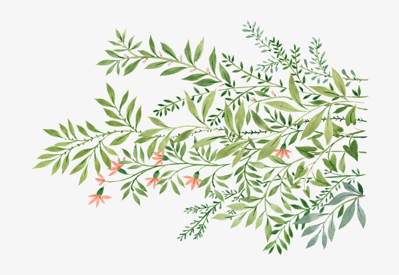 Design By Logo Koljòs - Illustration, transparent png download