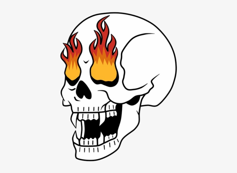 Skull, transparent png download