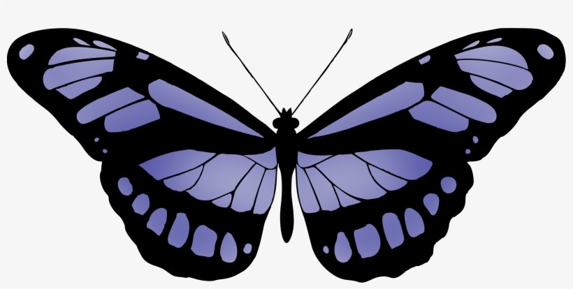 This Free Icons Png Design Of Butterfly 15, transparent png download