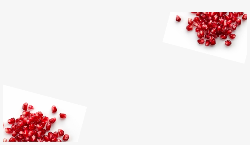 Circle Background Pomegranate - Currant, transparent png download
