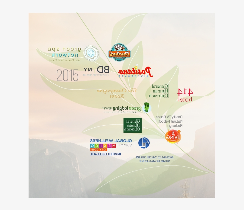 11 5 18 Timeline 2018 38 - Parallel, transparent png download