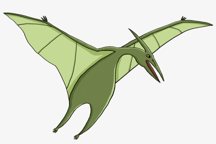 Pterodactyl Jb - Illustration, transparent png download