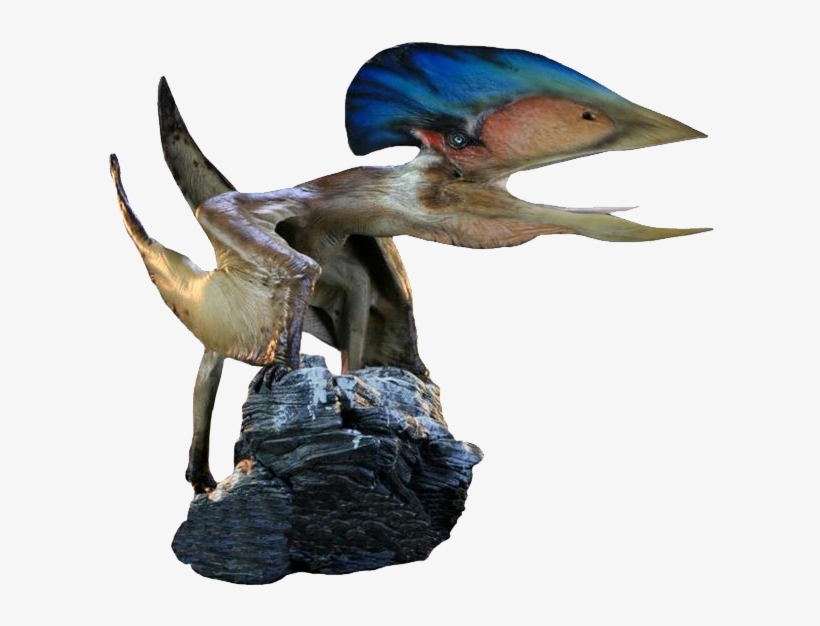 5398469 Orig - Tupuxuara Pterodactyl, transparent png download
