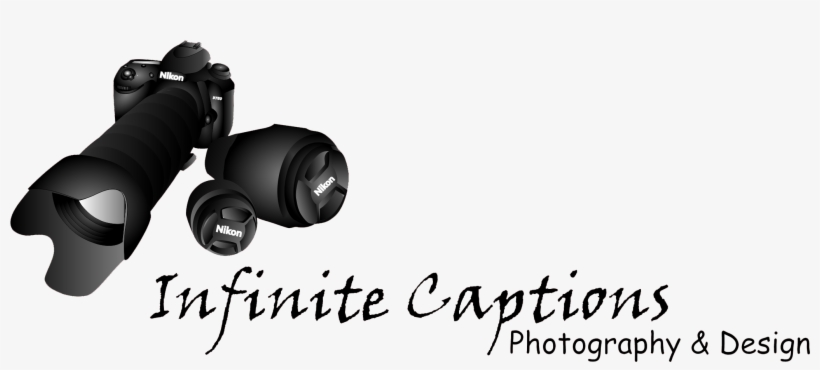 Point-and-shoot Camera, transparent png download