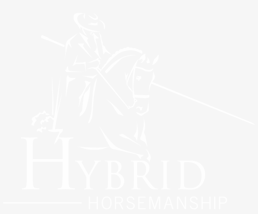 Hybrid Horsemanhip Hybrid Horsemanhip Hybrid Horsemanhip - Spotify White Logo Png, transparent png download