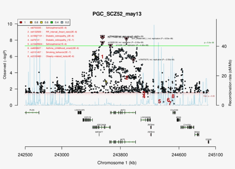 Locus Rank - Diagram, transparent png download