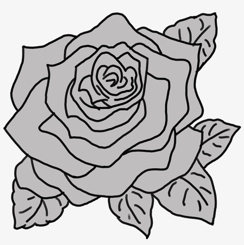 Grey Colour Kept To Make It Visually Pleasing - Rose Sketch Small, transparent png download