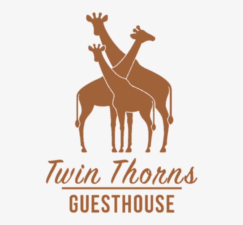 Deer, transparent png download