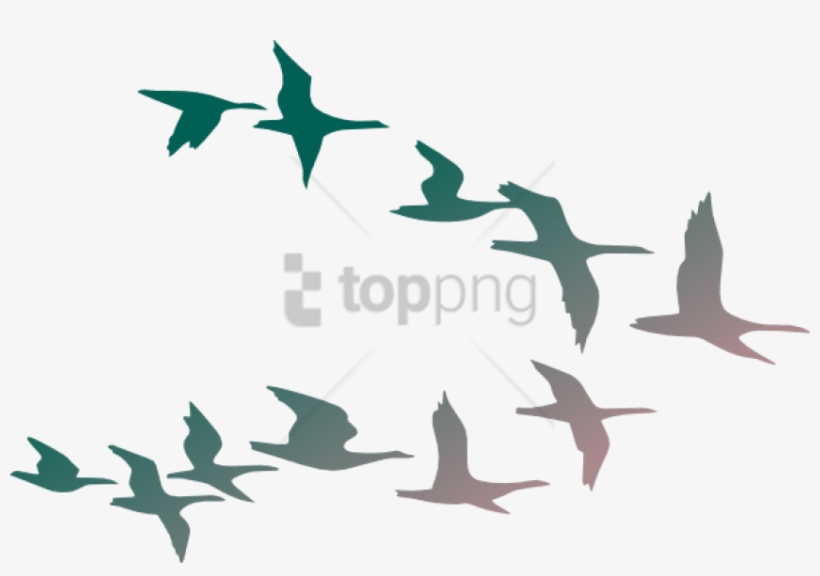 Free Png Flock Of Birds Png Image With Transparent - Flock Of Birds Clipart, transparent png download