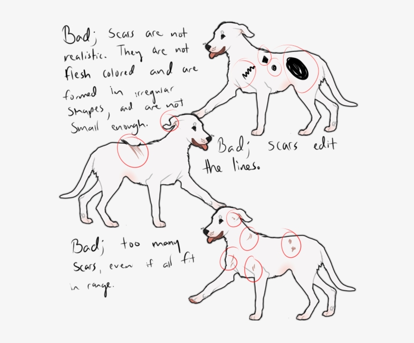 Are Examples Of Bad Scars And Why They Would Get Rejected - Line Art, transparent png download