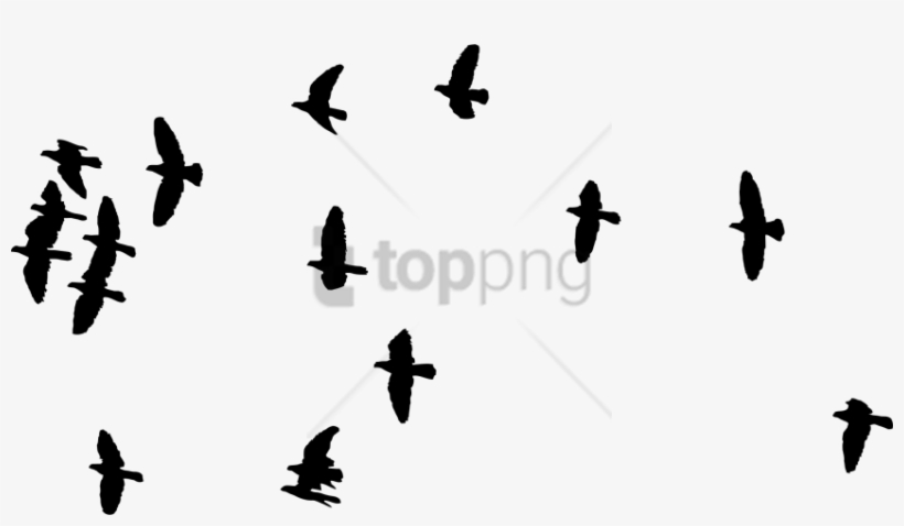 Free Png Flock Of Birds Silhouette Png Image With Transparent - Editing Picsart Png Background, transparent png download