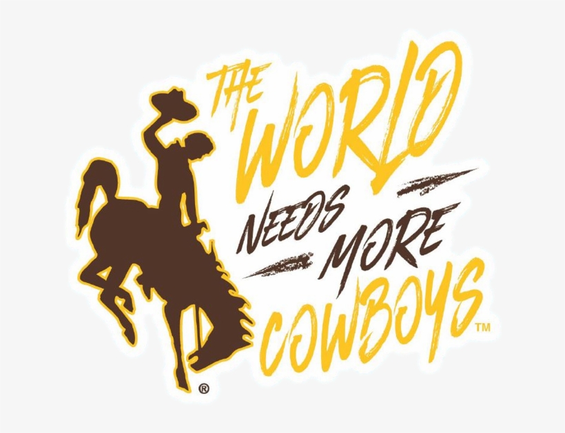 The World Needs More Cowboys - World Needs More Cowboys Shirt, transparent png download