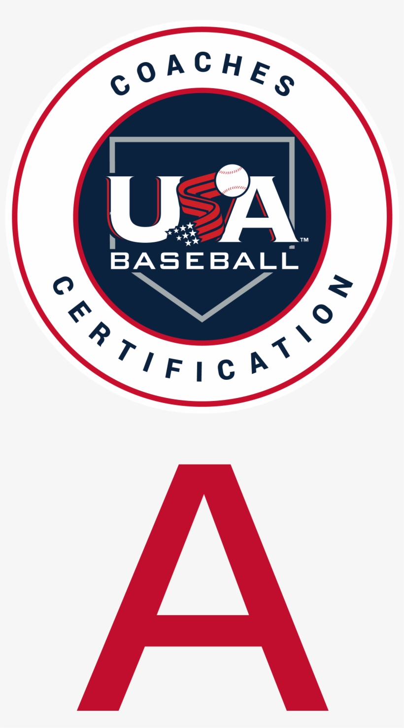 Yankees Logo Transparent Background Png Yankees Logo - Emblem, transparent png download