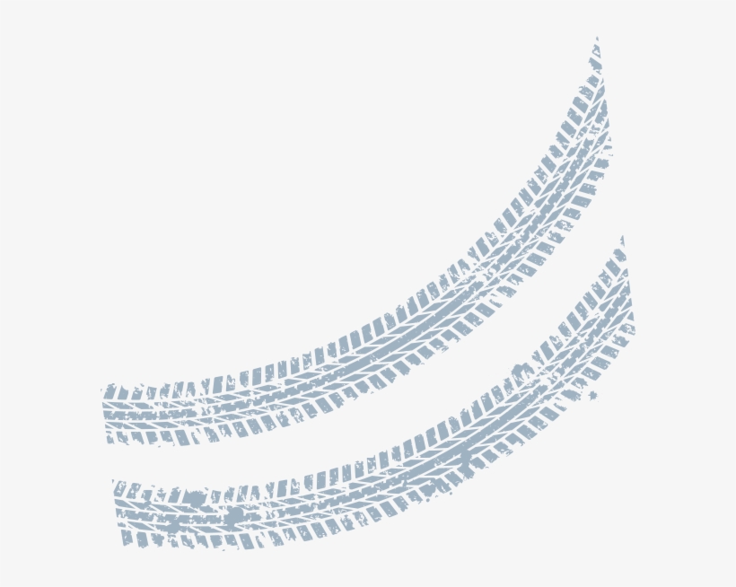 Genomic Techniques Have Brought An Astounding Diversity - Circle, transparent png download