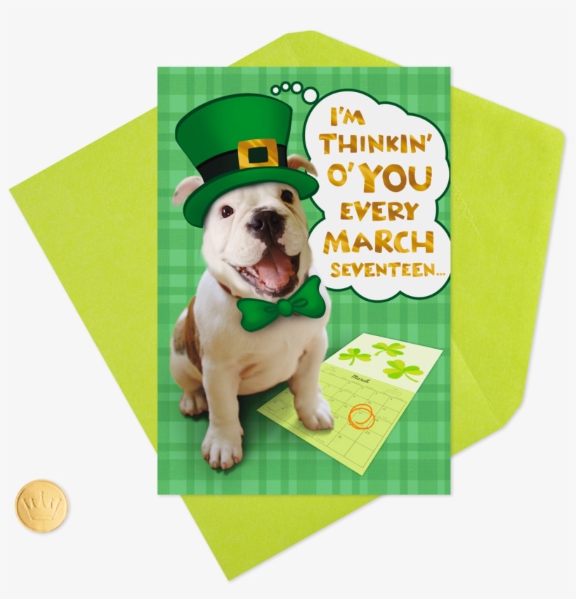Leprechaun Dog Thinking Of You St - Companion Dog, transparent png download