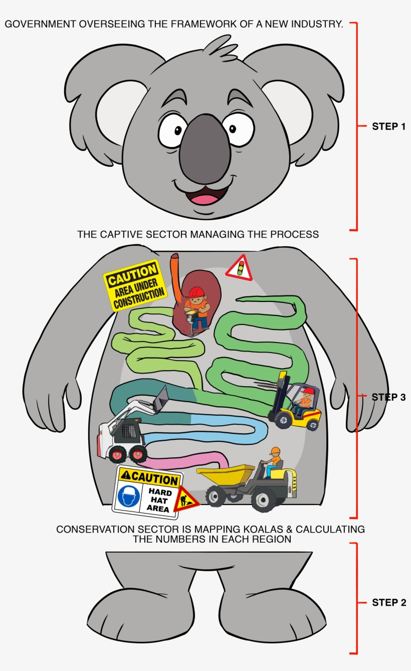 To Ensure The Koala Can Thrive Into The 21st Century, - Cartoon, transparent png download