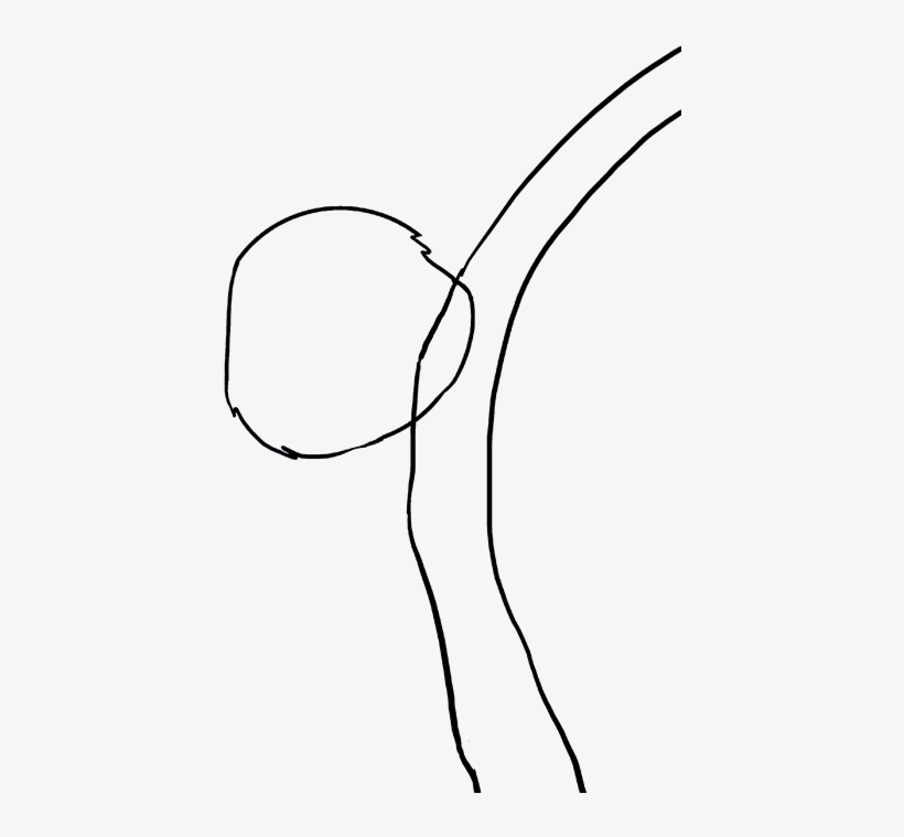 How To Draw A - Black And White Drawings Koala, transparent png download