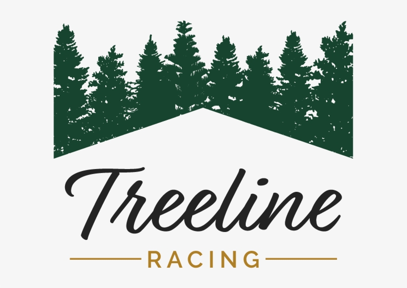 Christmas Tree, transparent png download