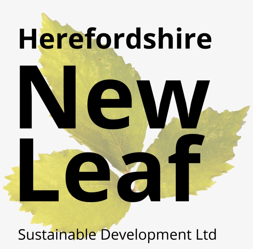 New Leaf Sustainable Development - Taboola, transparent png download