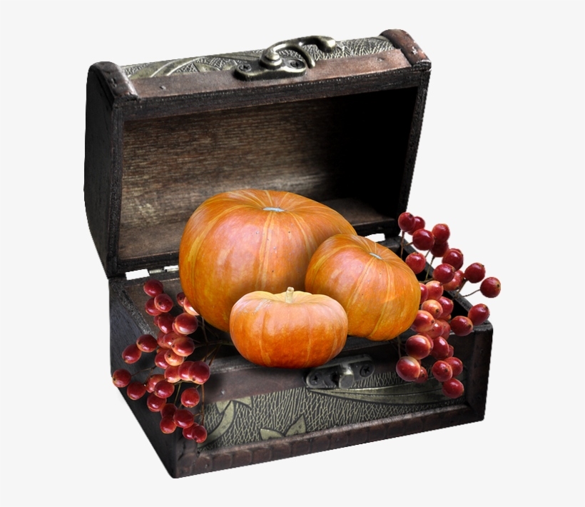 Pumpkin, transparent png download